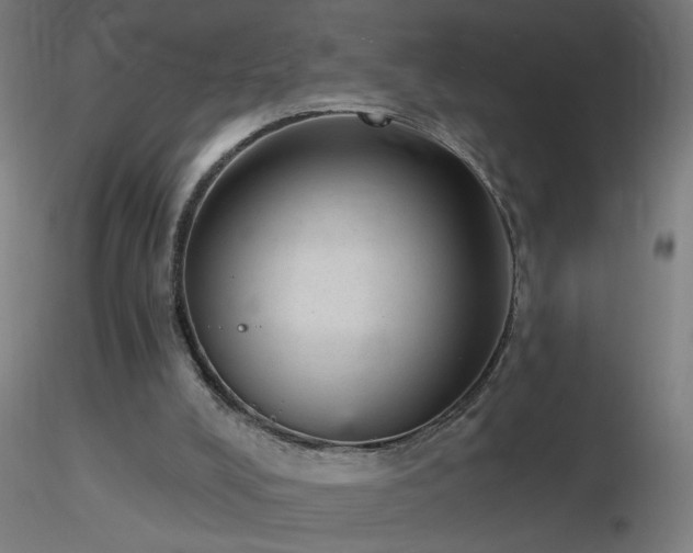 X0000116790008200912181305