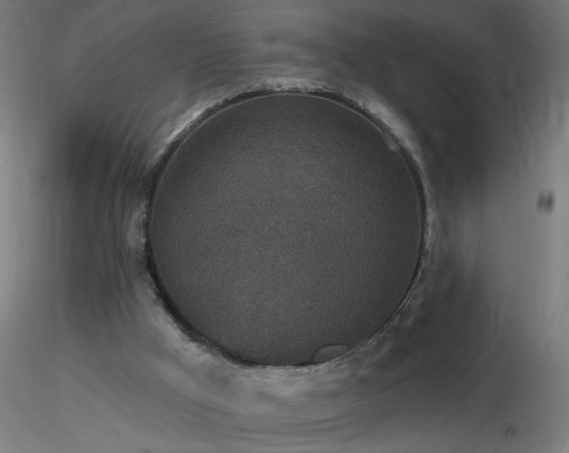 X0000116790009200912181305