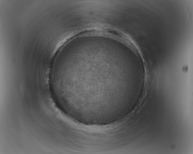 X0000116790010200912181305