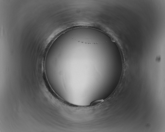 X0000116790011200912181305