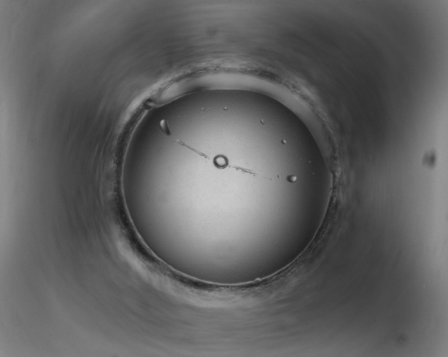 X0000116790012200912181305