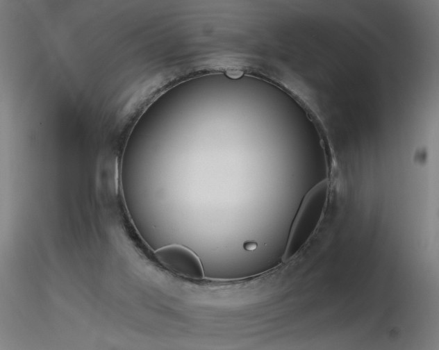 X0000116790013200912181305