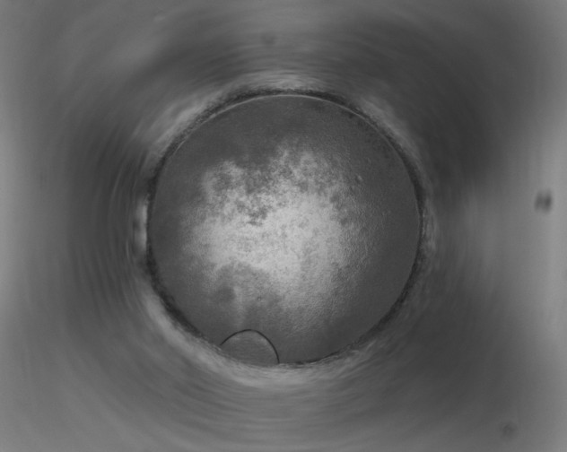 X0000116790014200912181305