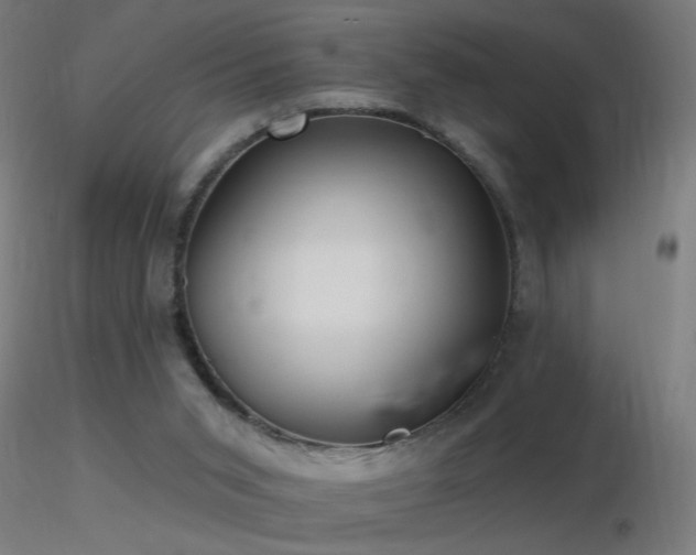 X0000116790015200912181305