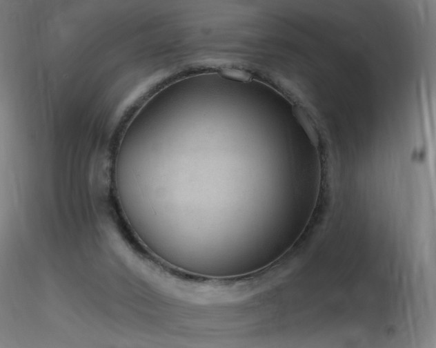 X0000116790016200912181305