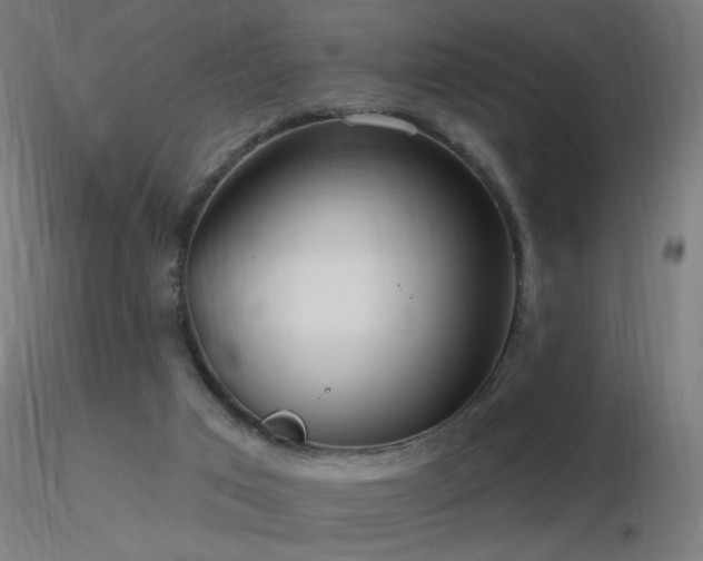 X0000116790017200912181305