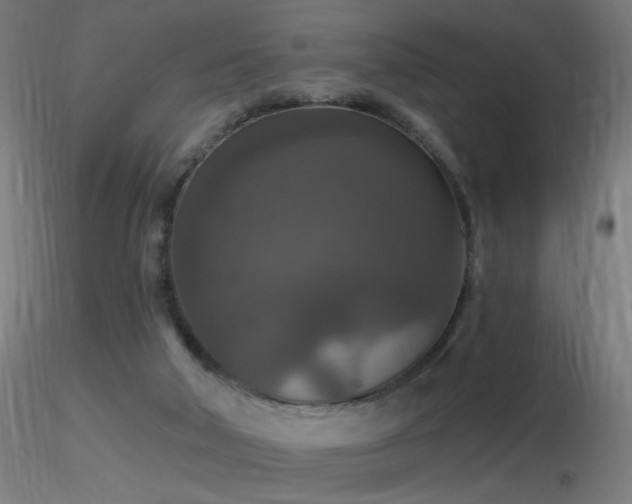 X0000116790018200912181305