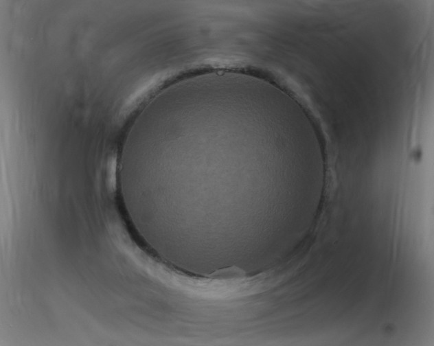 X0000116790019200912181305