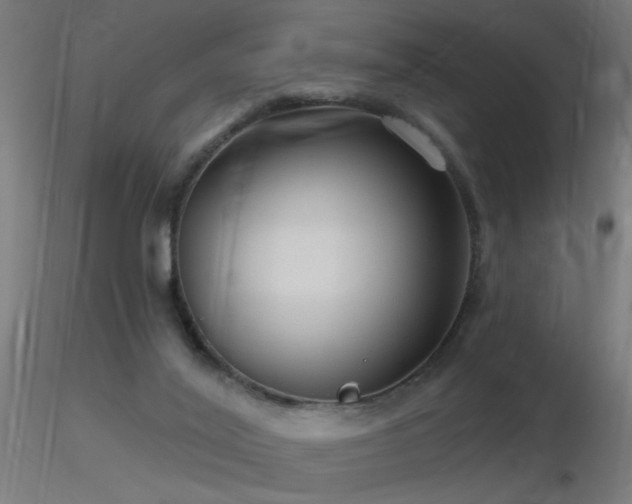 X0000116790020200912181305