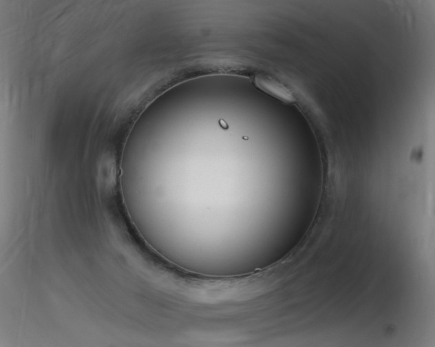 X0000116790021200912181305