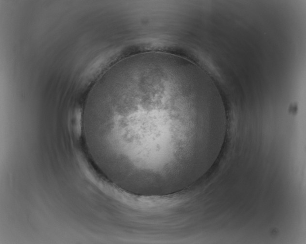 X0000116790022200912181305