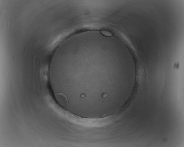 X0000116790023200912181305