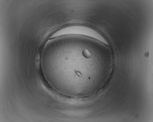 X0000116790024200912181305