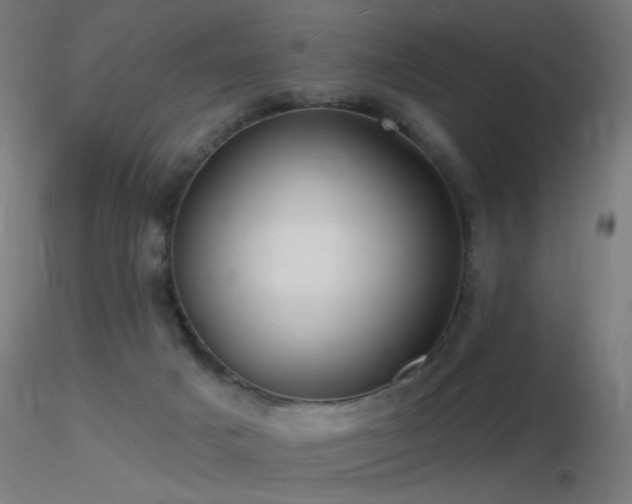 X0000116790025200912181305