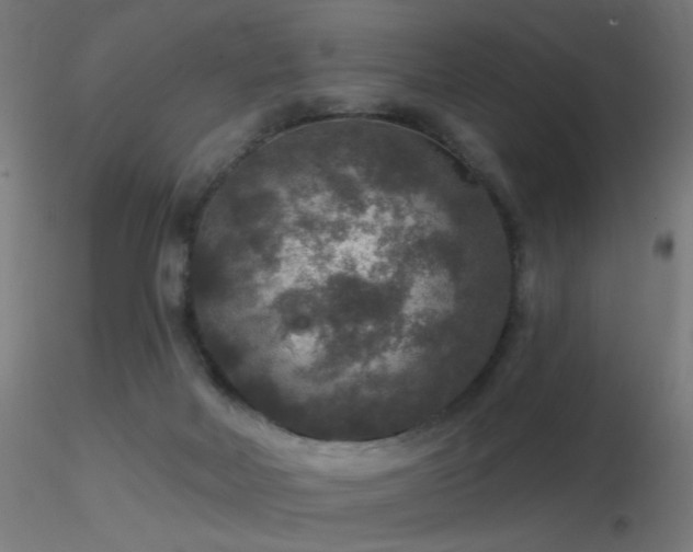 X0000116790026200912181305