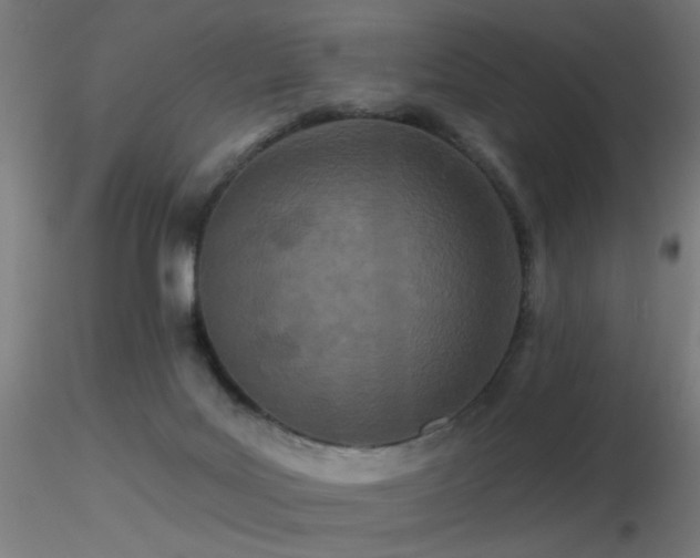 X0000116790027200912181305