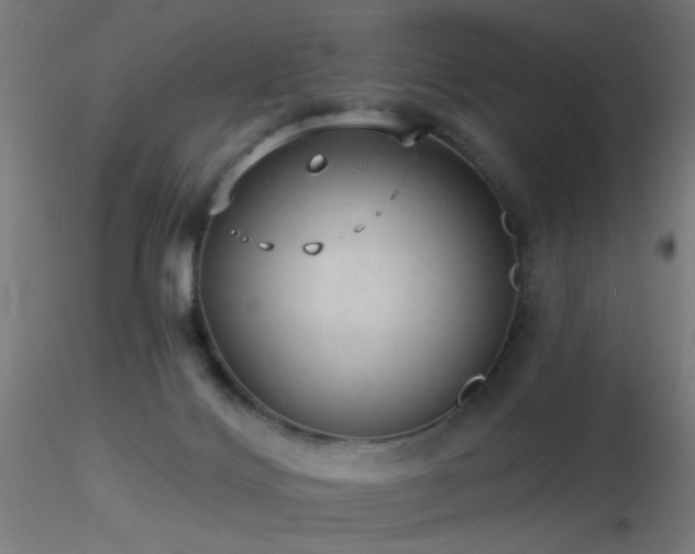 X0000116790028200912181305