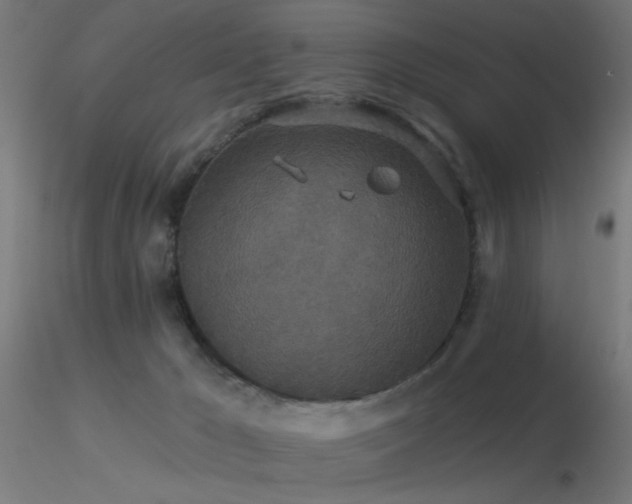 X0000116790029200912181305