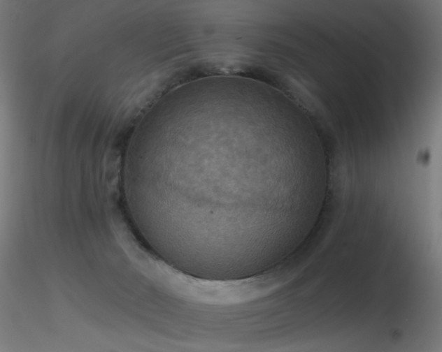 X0000116790030200912181305