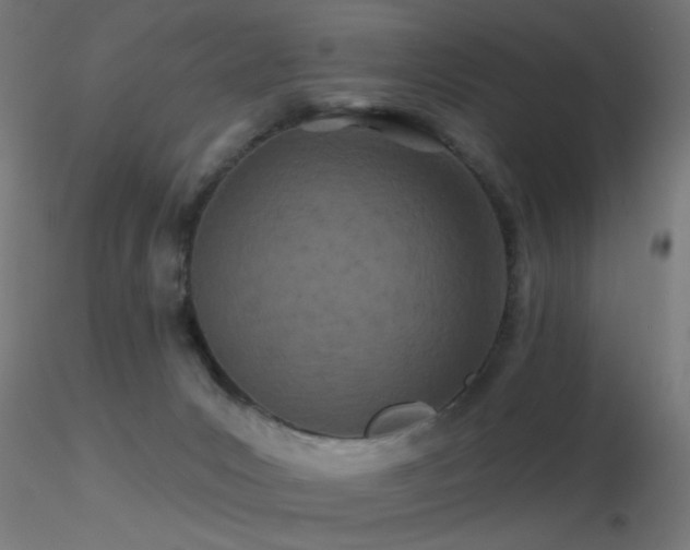 X0000116790031200912181305