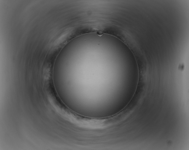 X0000116790032200912181305