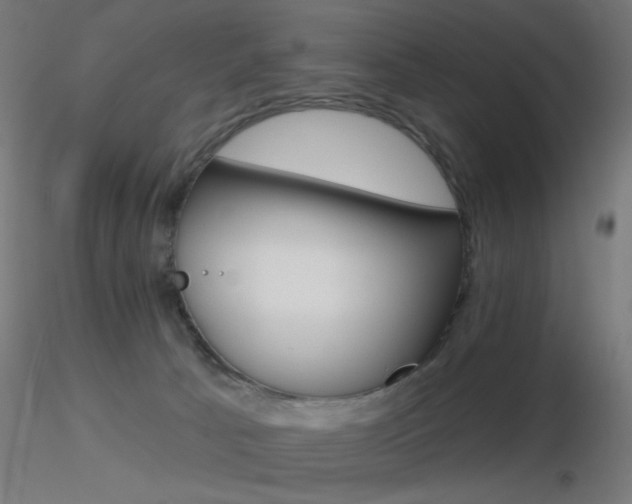 X0000116790033200912181305