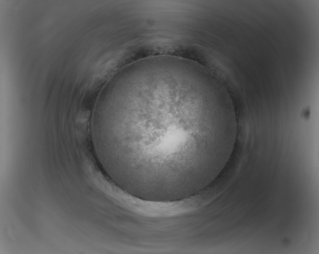 X0000116790034200912181305