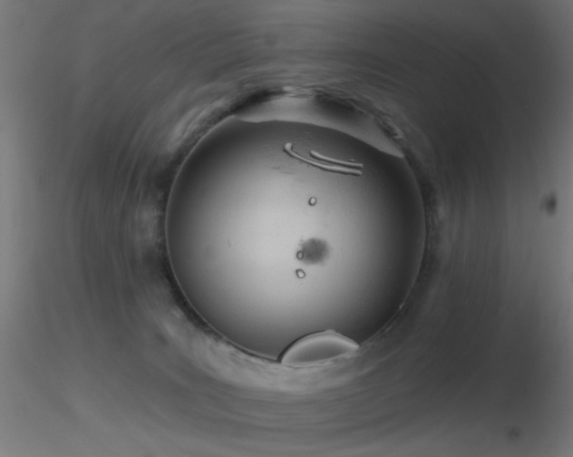 X0000116790035200912181305