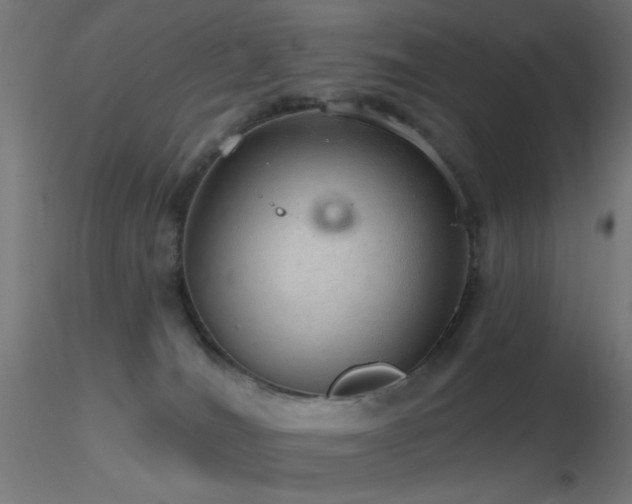 X0000116790036200912181305