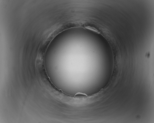 X0000116790037200912181305