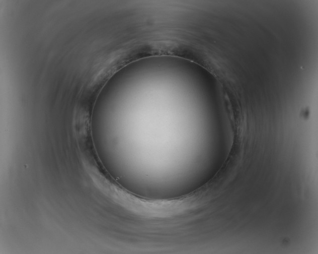 X0000116790038200912181304