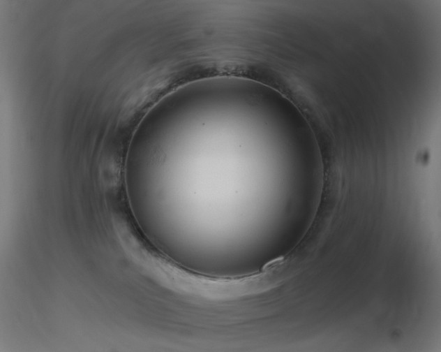 X0000116790039200912181304