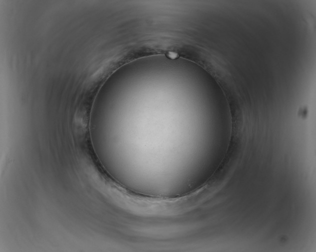 X0000116790040200912181304