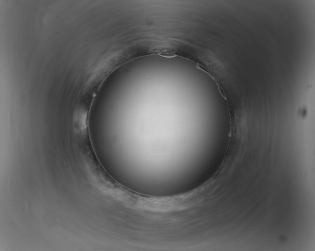 X0000116790041200912181304