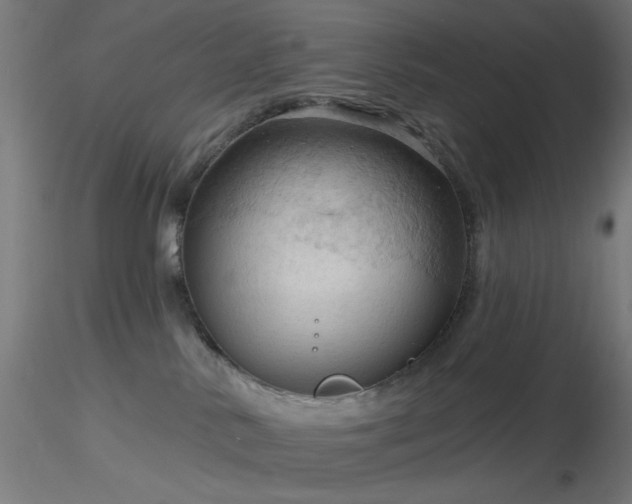 X0000116790042200912181304