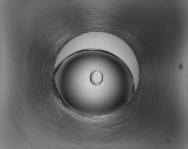 X0000116790043200912181304