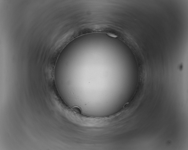 X0000116790044200912181304