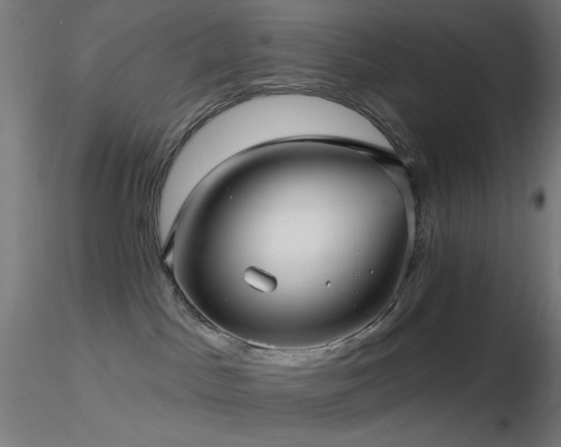 X0000116790045200912181304