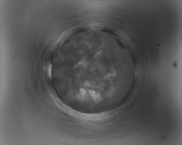 X0000116790046200912181304