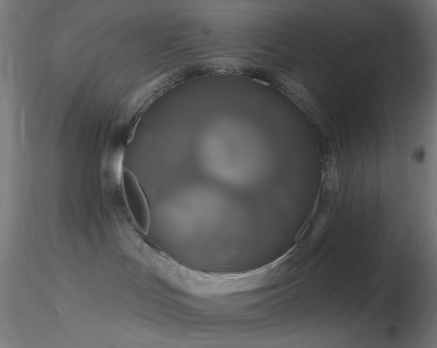 X0000116790047200912181304