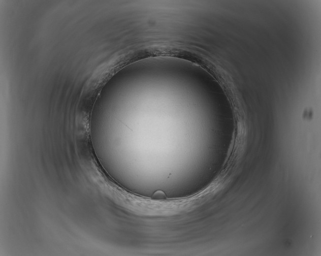 X0000116790048200912181304