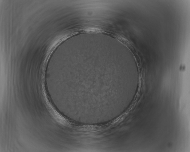 X0000116790049200912181304