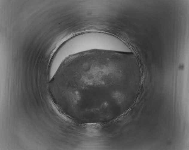 X0000116790050200912181304