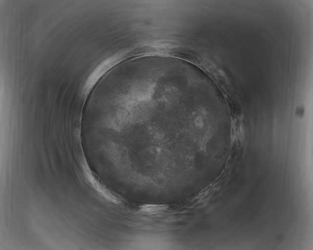 X0000116790051200912181304