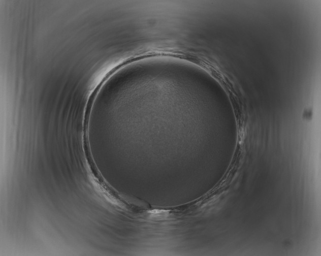 X0000116790052200912181304