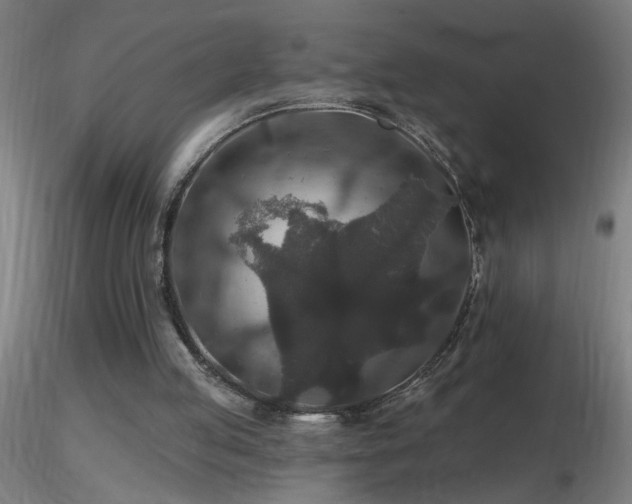 X0000116790053200912181304