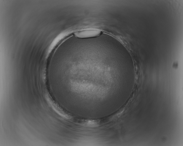 X0000116790056200912181304