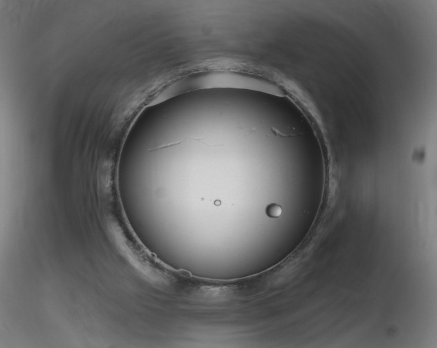 X0000116790057200912181304