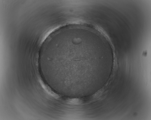 X0000116790058200912181304