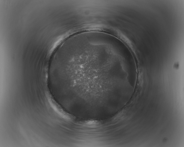 X0000116790059200912181304